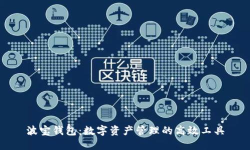 波宝钱包:数字资产管理的高效工具