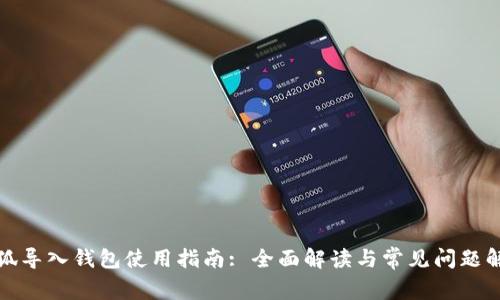 小狐导入钱包使用指南: 全面解读与常见问题解答