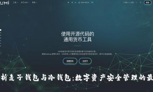 全面解析麦子钱包与冷钱包:数字资产安全管理的最佳实践