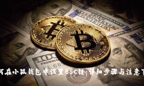 如何在小狐钱包中设置BSC链:详细步骤与注意事项