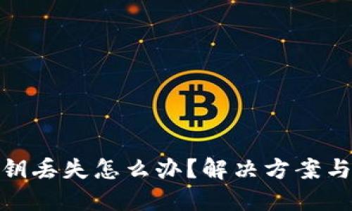 冷钱包密钥丢失怎么办?解决方案与预防措施