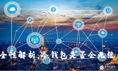 冷钱包安全性解析:冷钱包是否会无缘无故被盗?