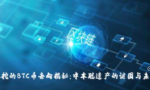 中本聪挖的BTC币去向揭秘：中本聪遗产的谜团与未来影响