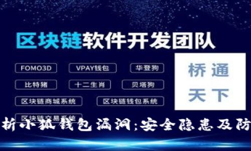 全面解析小狐钱包漏洞:安全隐患及防范措施