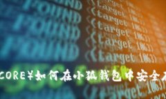 : 核心币(CORE)如何在小狐钱包中安全存储和管