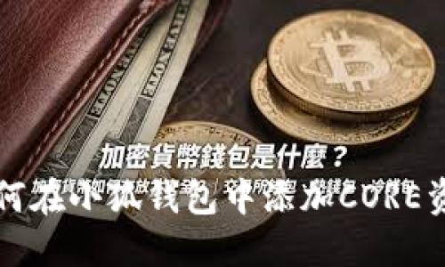 如何在小狐钱包中添加CORE资产