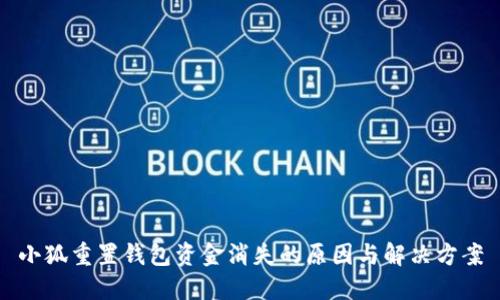 小狐重置钱包资金消失的原因与解决方案