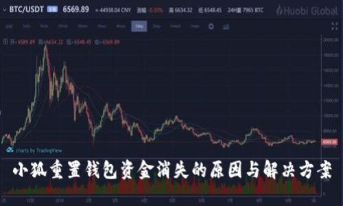 小狐重置钱包资金消失的原因与解决方案