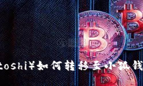 中本聪币(Satoshi)如何转移至小狐钱包的详细指南