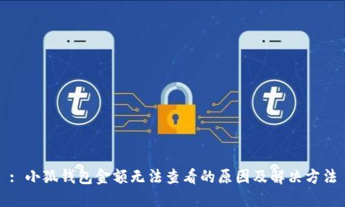 : 小狐钱包金额无法查看的原因及解决方法