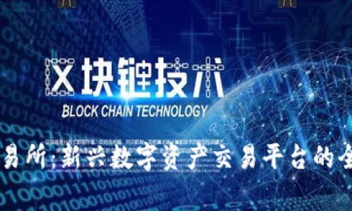 币赢交易所：新兴数字资产交易平台的全面介绍