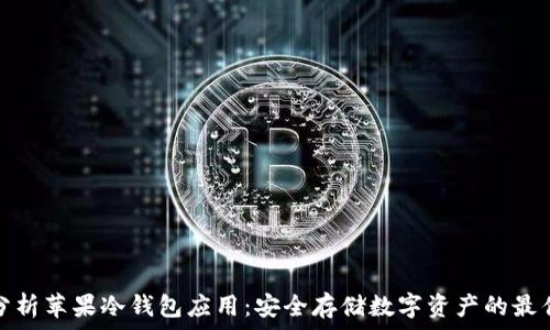   
彻底分析苹果冷钱包应用：安全存储数字资产的最佳选择