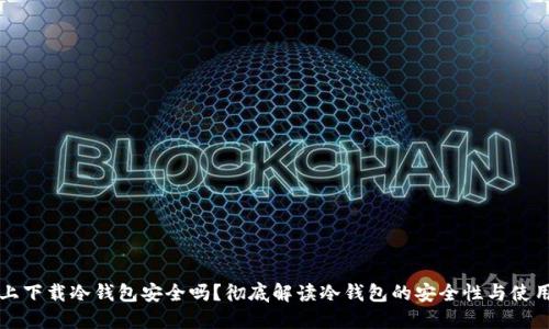 电脑上下载冷钱包安全吗?彻底解读冷钱包的安全性与使用技巧
