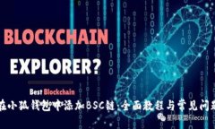 如何在小狐钱包中添加BSC链：全面教程与常见问