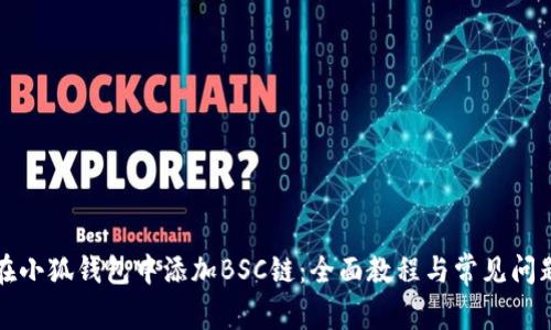如何在小狐钱包中添加BSC链:全面教程与常见问题解答