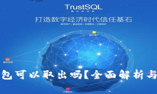 数字冷钱包可以取出吗?全面解析与使用指南