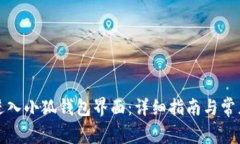 如何顺利进入小狐钱包界面:详细指南与常见问