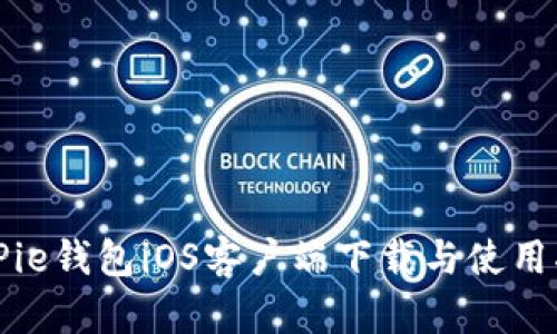 BitPie钱包iOS客户端下载与使用指南