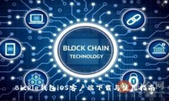 BitPie钱包iOS客户端下载与使用指南