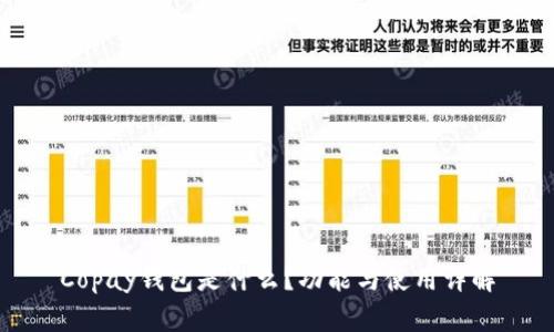 Copay钱包是什么?功能与使用详解