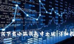 如何下载小狐钱包中文版：详细指南