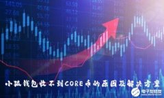 小狐钱包收不到CORE币的原因及解决方案