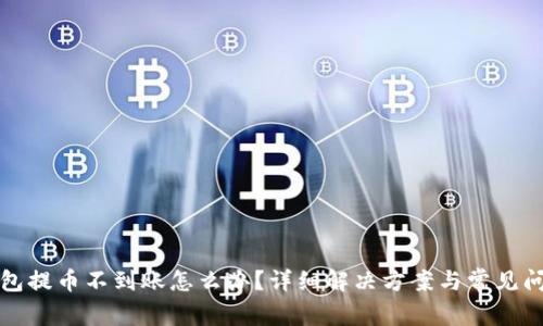 小狐钱包提币不到账怎么办?详细解决方案与常见问题解析