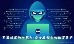苹果推荐的冷钱包:安全存储你的数字资产