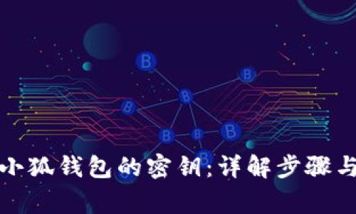 如何查看小狐钱包的密钥：详解步骤与注意事项