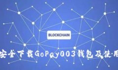 如何安全下载GoPay003钱包及使用指南