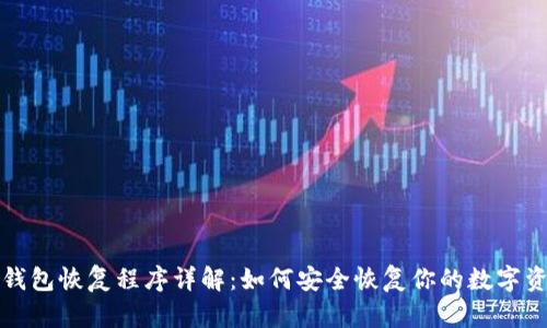 冷钱包恢复程序详解:如何安全恢复你的数字资产