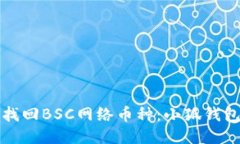 如何轻松找回BSC网络币种：小狐钱包详细指南