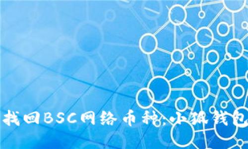 如何轻松找回BSC网络币种:小狐钱包详细指南