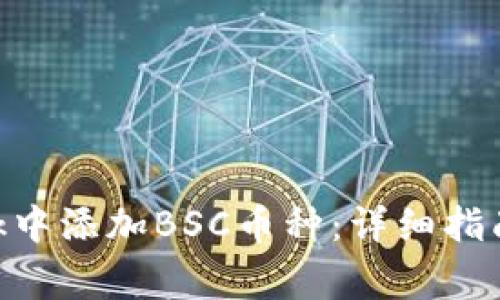 如何在MetaMask中添加BSC币种:详细指南与常见问题解答