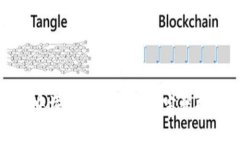 如何在谷歌浏览器中添加MetaMask:完整指南与常见