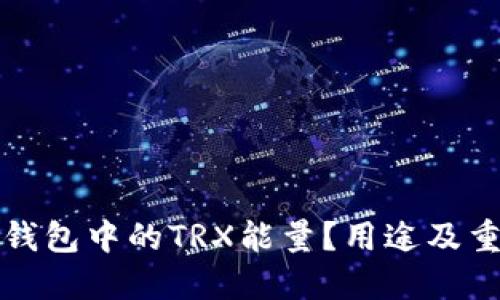 什么是冷钱包中的TRX能量?用途及重要性详解