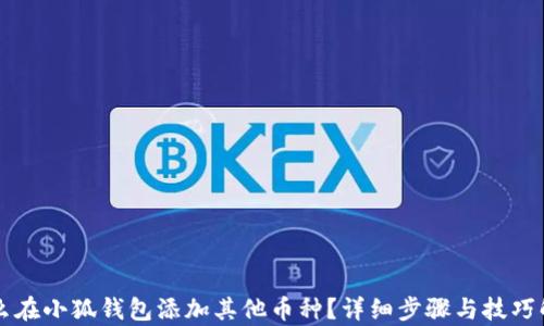 怎么在小狐钱包添加其他币种?详细步骤与技巧解析