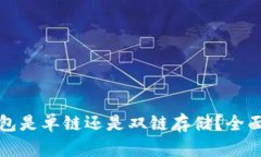 冷钱包是单链还是双链存储?全面解析
