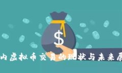 国内虚拟币交易的现状与未来展望