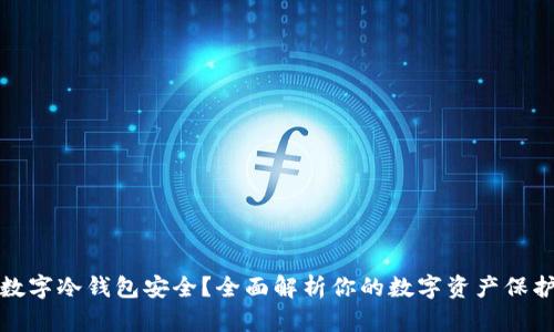 哪个数字冷钱包安全?全面解析你的数字资产保护方案