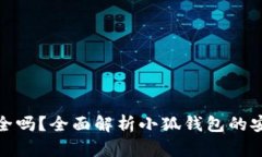 小狐钱包提现安全吗?全面解析小狐钱包的安全