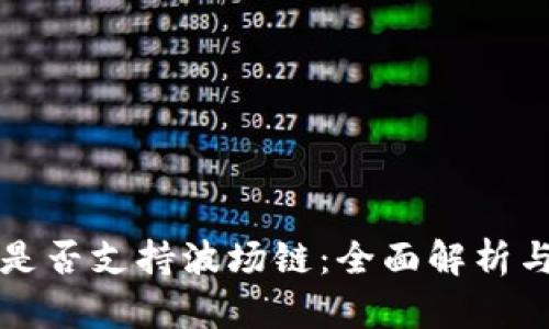 小狐钱包是否支持波场链:全面解析与实用指南