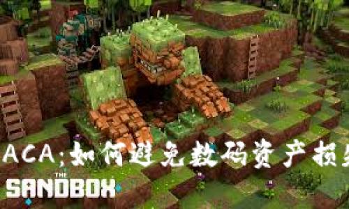 小狐钱包被转走RACA:如何避免数码资产损失与安全保护指南