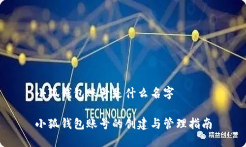 小狐钱包账号是什么名字
小狐钱包账号的创建与管理指南