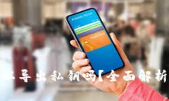 观察钱包可以导出私钥吗?全面解析与安全建议