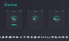 如何在苹果设备上下载并安装OkPay钱包的完整指南