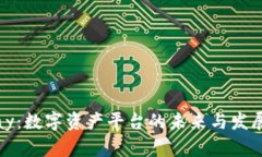 BHPay:数字资产平台的未来与发展潜力
