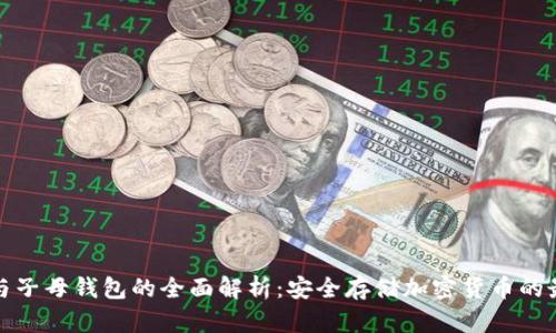 冷钱包与子母钱包的全面解析:安全存储加密货币的最佳选择