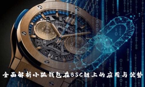 全面解析小狐钱包在BSC链上的应用与优势