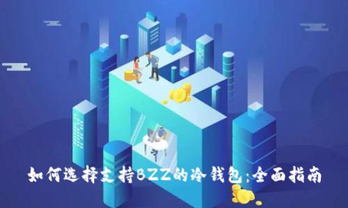 如何选择支持BZZ的冷钱包:全面指南